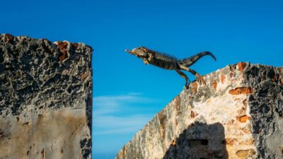 世代間ギャップを解消するには? 多様性を組織の強みに変える方法とおすすめ研修を紹介