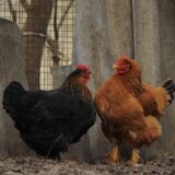 ハラスメント対策「やっているのに効果がない」を防ぐ実践ガイド【2026年版】