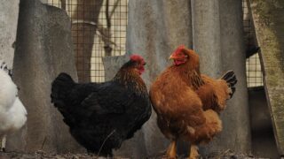 ハラスメント対策「やっているのに効果がない」を防ぐ実践ガイド【2026年版】