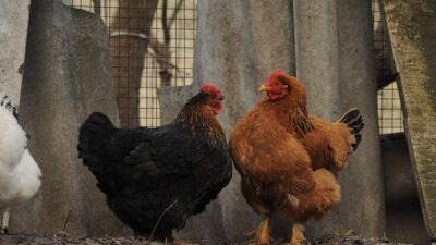 ハラスメント対策「やっているのに効果がない」を防ぐ実践ガイド【2026年版】